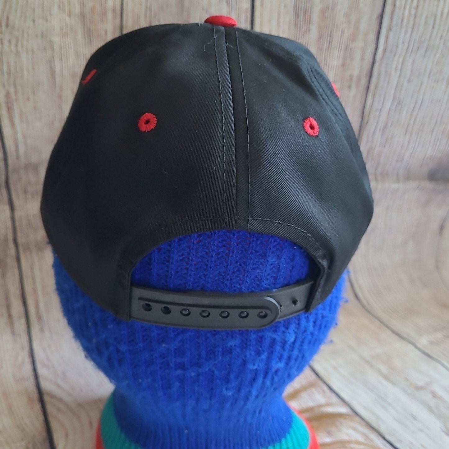 Vtg Y2k Daytona 500 snapback hat