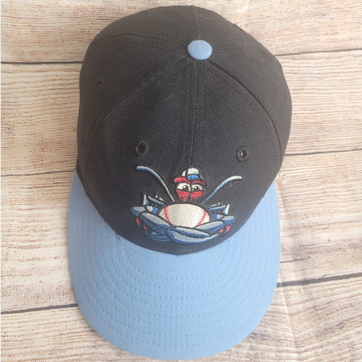 Vintage New Era MiLB Lakewood BlueClaws baseball fitted hat