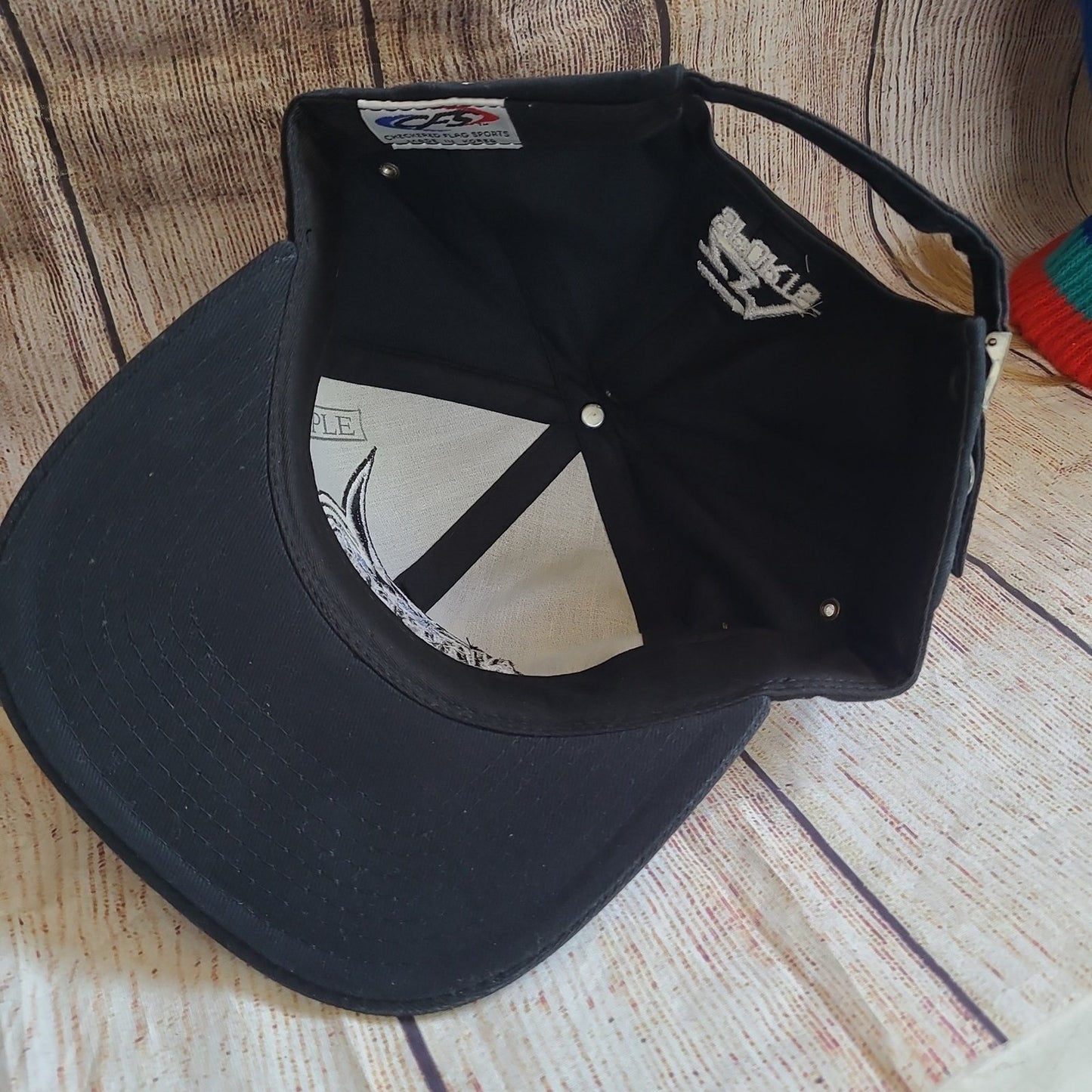 Vtg Nascar Revolution EA Sports Game hat 2000 PC Playstation