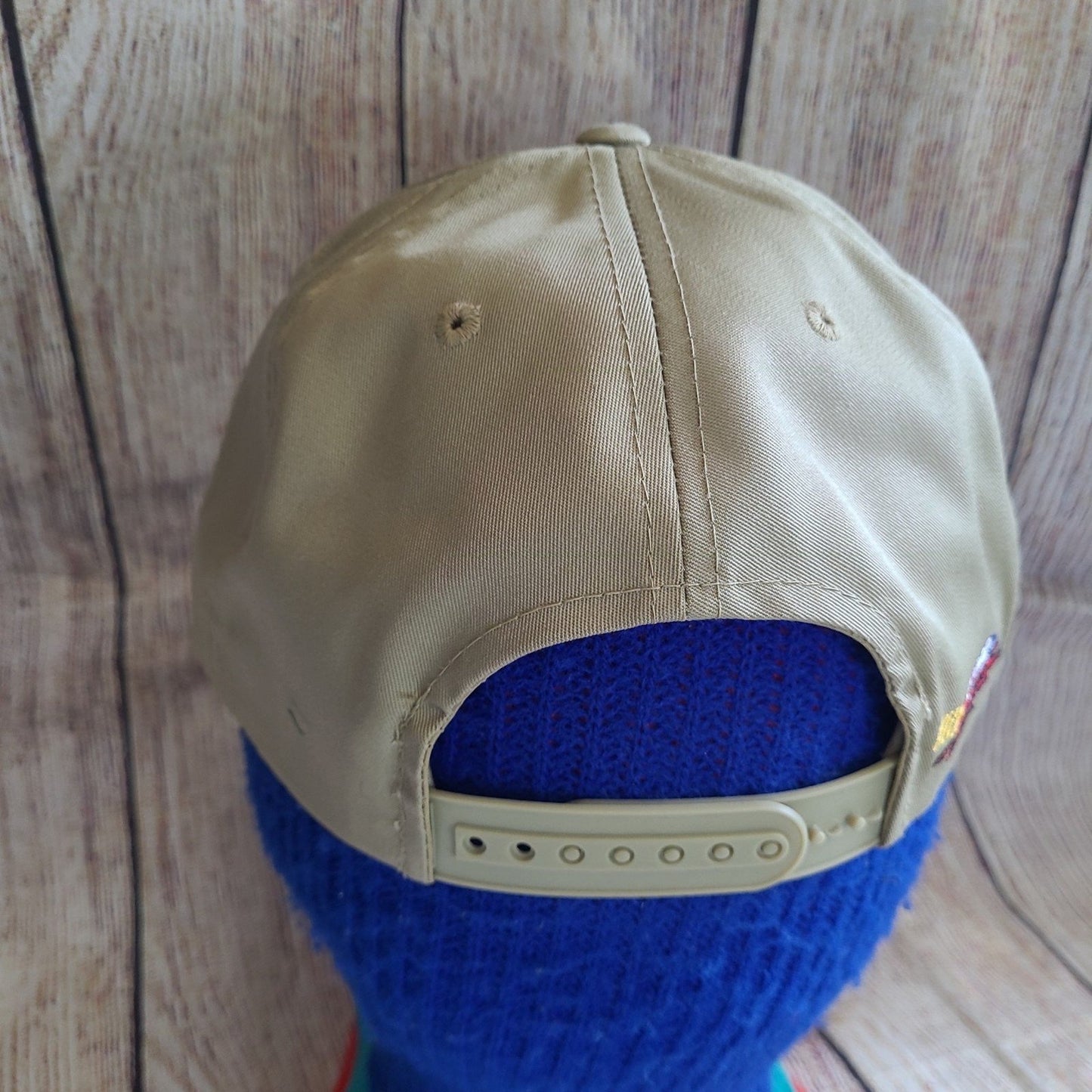 Vtg Y2k Daytona Pepsi 400 snapback hat