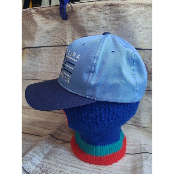 Vtg North Carolina Tarheels 90s snapback hat American Needle