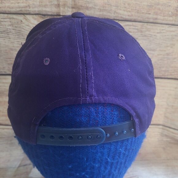Vtg Minnesota Vikings Ann co snapback hat American Needle Split bar