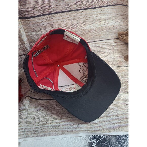 Vintage Taz Dale Earnhardt Sr. AOP snapback hat #3 Looney Tunes