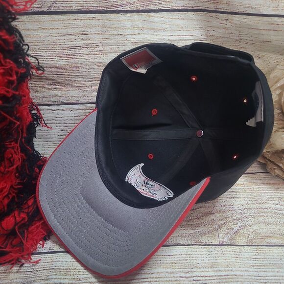 Vintage Tampa Bay Bucs 90s snapback