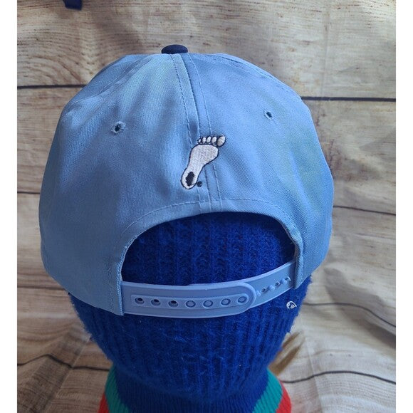 Vtg North Carolina Tarheels 90s snapback hat American Needle