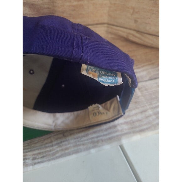 Vtg Minnesota Vikings Ann co snapback hat American Needle Split bar