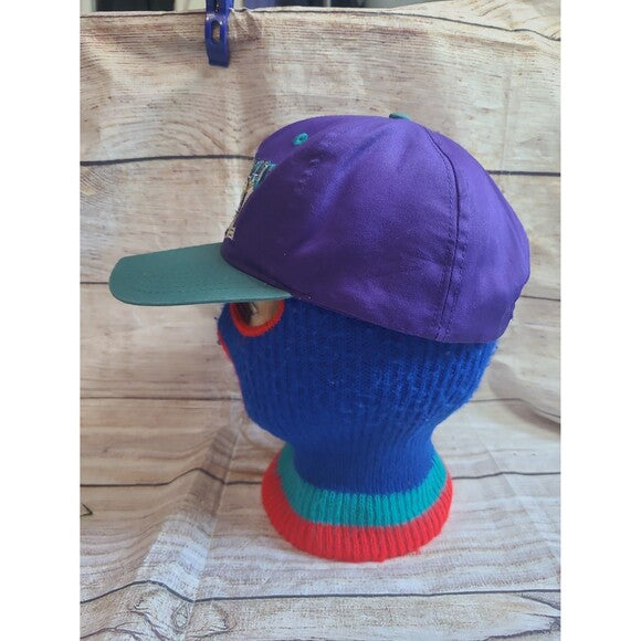 Vtg Anaheim Mighty Ducks snapback hat cap