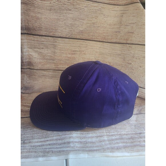 Vtg Minnesota Vikings Ann co snapback hat American Needle Split bar