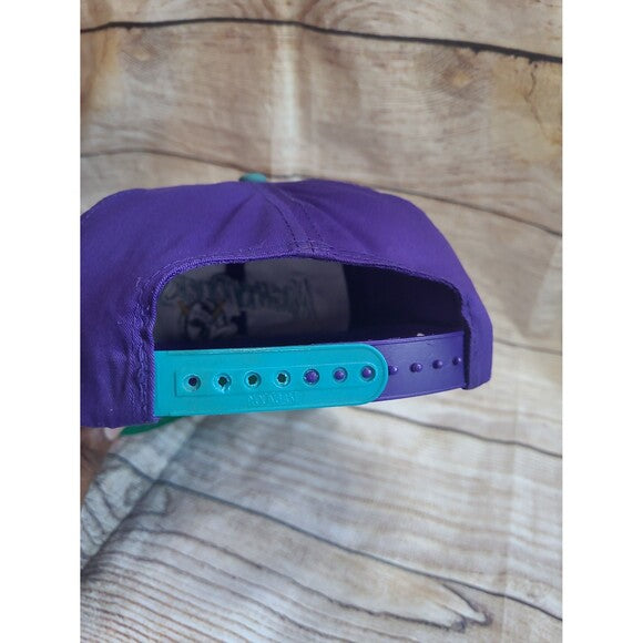 Vtg Anaheim Mighty Ducks snapback hat cap