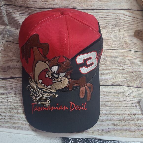 Vintage Taz Dale Earnhardt Sr. AOP snapback hat #3 Looney Tunes