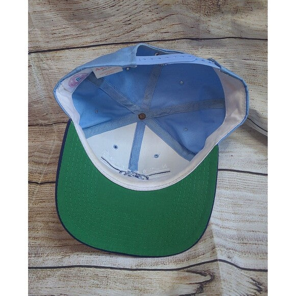 Vtg North Carolina Tarheels 90s snapback hat American Needle