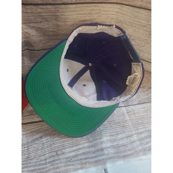 Vtg Minnesota Vikings Ann co snapback hat American Needle Split bar
