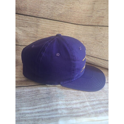 Vtg Minnesota Vikings Ann co snapback hat American Needle Split bar