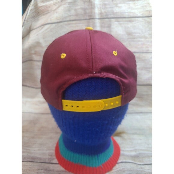 Vintage Taz Washington Redskins Looney Tunes snapback hat