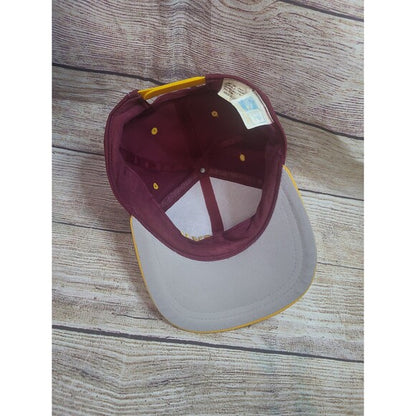 Vintage Taz Washington Redskins Looney Tunes snapback hat