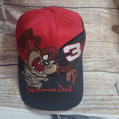 Vintage Taz Dale Earnhardt Sr. AOP snapback hat #3 Looney Tunes